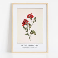 M. de Gijselaar - Red flower by M. de Gijselaar (1830)