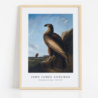 John Jadmes Audubon - Washington Sea Eagle (ca. 1836–1839)