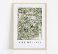 
              aert schouman - Aviary with fourteen birds -1720-1792
            