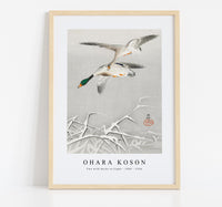 
              Ohara Koson - Two wild ducks in flight (1900 - 1936) by Ohara Koson (1877-1945)
            