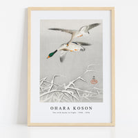 Ohara Koson - Two wild ducks in flight (1900 - 1936) by Ohara Koson (1877-1945)