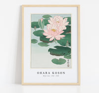 
              Ohara Koson - Water Lily (1920 - 1930) by Ohara Koson (1877-1945)
            