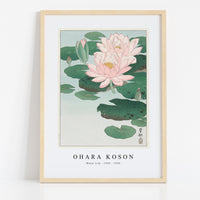 Ohara Koson - Water Lily (1920 - 1930) by Ohara Koson (1877-1945)
