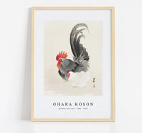 
              Ohara Koson - Chicken and cock (1900 - 1936) by Ohara Koson (1877-1945)
            