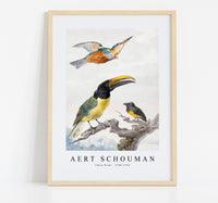 
              Aert schouman - Three Birds-1720-1792
            