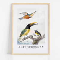 Aert schouman - Three Birds-1720-1792