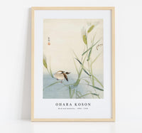 
              Ohara Koson - Bird and butterfly (1900 - 1930) by Ohara Koson (1877-1945)
            
