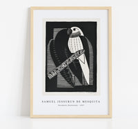 
              Samuel Jessurun De Mesquita - Parakeets (Parkieten) (1927)
            