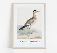
              aert schouman - A Yellow-wattled Lapwing-1720-1792
            
