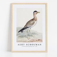 aert schouman - A Yellow-wattled Lapwing-1720-1792