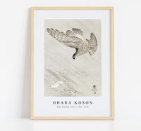 
              Ohara Koson - Hawk hunting a hare (1900 - 1910) by Ohara Koson (1877-1945)
            