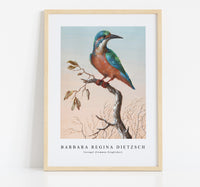 
              Barbara Regina Dietzsch - IJsvogel (Common Kingfisher)
            