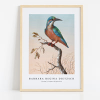 Barbara Regina Dietzsch - IJsvogel (Common Kingfisher)