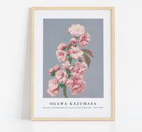 
              Ogawa Kazumasa - Beautiful photomechanical prints of Cherry Blossom (1887–1897)
            