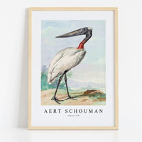 Aert chouman - Jabiru-1770