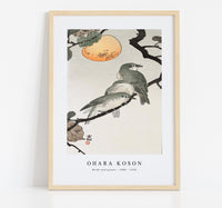 
              Ohara Koson - Birds and plants (1900 - 1936) by Ohara Koson (1877-1945)
            