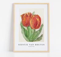 
              Sientje Van Houten - Two Red Tulips
            