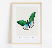 
              Mary Altha Nims - Butterfly
            