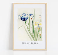 
              Ohara Koson - Irises (1900 - 1936) by Ohara Koson (1877-1945)
            