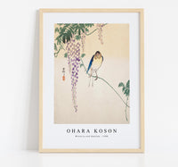 
              Ohara Koson - Wisteria and Swallow (ca. 1900)
            