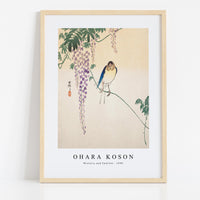 Ohara Koson - Wisteria and Swallow (ca. 1900)