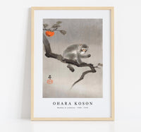 
              Ohara Koson - Monkey in cockatoo (1900 - 1930) by Ohara Koson (1877-1945)
            
