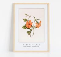 
              M. de Gijselaar - Orange flower by M. de Gijselaar (1820)
            