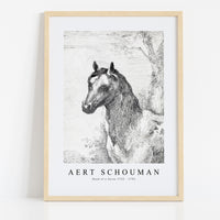 Aert schouman - Head of a horse-1725-1792