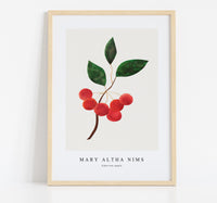 
              Mary Altha Nims - Siberian apple
            