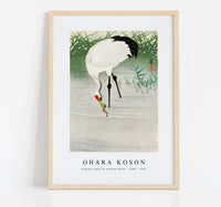 
              Ohara Koson - Fishing crane in shallow water (1900 - 1945) by Ohara Koson (1877-1945)
            