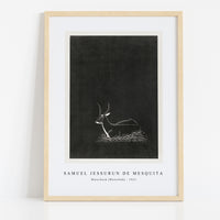 Samuel Jessurun De Mesquita - Waterbuck (Waterbok) (1921)