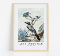 
              Aert schouman - Three birds-1756
            