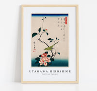 
              Utagawa Hiroshige - Camellia and Nightingale
            