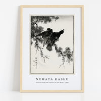 Numata Kashu - Eastern Rook and Cypress on New Moon illustration from Pictorial Monograph of Birds (1885)