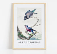 
              Aert schouman - Two birds a blue jay and a purple-breasted cotinga-1760
            