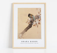 
              Ohara Koson - Pheasant on cherry blossom branch (1887-1945)
            