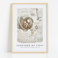 Leonardo Da Vinci - Studies of the Foetus in the Womb 1510-1513