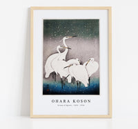 
              Ohara Koson - Group of Egrets (1925 - 1936) by Ohara Koson (1877-1945)
            
