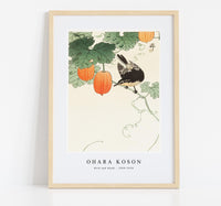 
              Ohara Koson - Bird and khaki, Ohara Koson (1900 - 1930)
            
