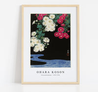 
              Ohara Koson - Chrysanthemums (1925-1936) by Ohara Koson (1877-1945)
            