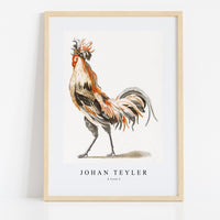 Johan Teyler - A Cock (2)