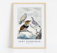 
              Aert schouman - Three birds-1753
            