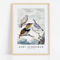 Aert schouman - Three birds-1753