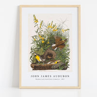 John James Audubon - Meadow Lark from Birds of America (1827)