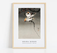 
              Ohara Koson - Bohemian waxwing birds (1900-1930) by Ohara Koson (1877-1945)
            