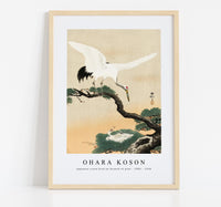 
              Ohara Koson - Japanese crane bird on branch of pine (1900 - 1930) by Ohara Koson (1877-1945)
            