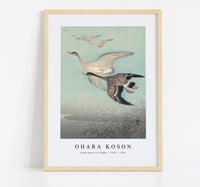 
              Ohara Koson - Great geese in flight (1925 - 1936) by Ohara Koson (1877-1945)
            