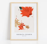 
              Shibata Zeshin - Maple Leaves
            
