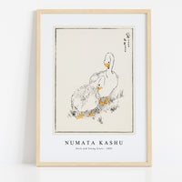 Numata Kashu - Duck and Young Grass illustration from Pictorial Monograph of Birds (1885)