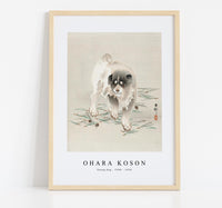 
              Ohara Koson - Young dog (1900 - 1930) by Ohara Koson (1877-1945)
            